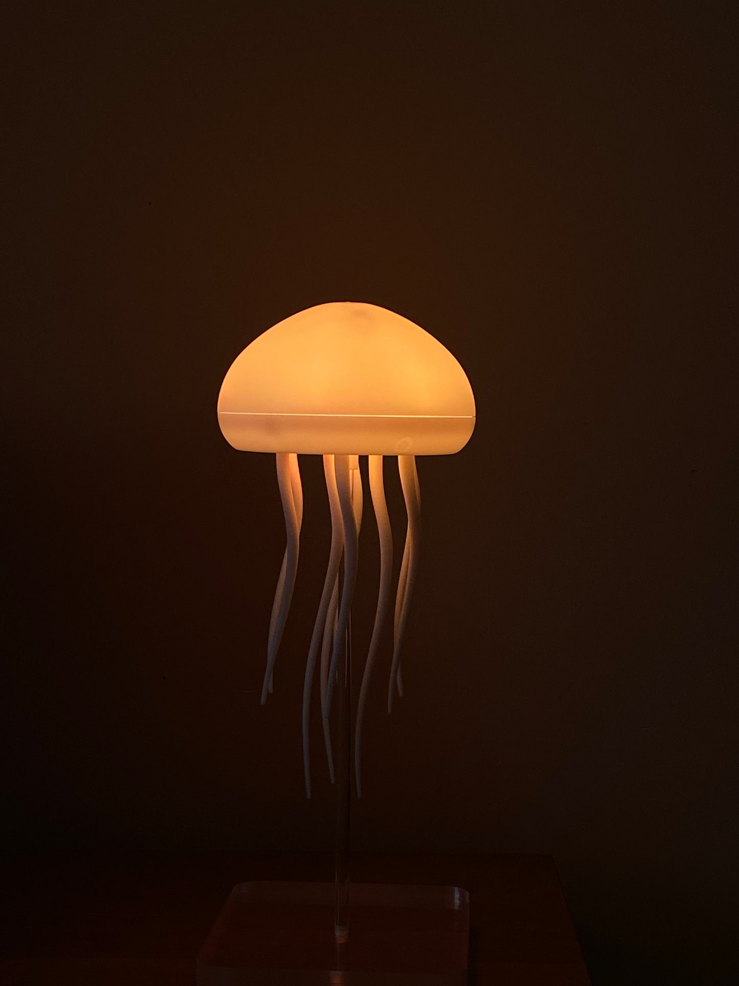 Jellyfish Lamp 🪼